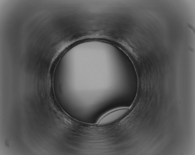 X0000091691270200709131600