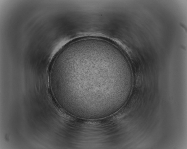 X0000091691271200709131600