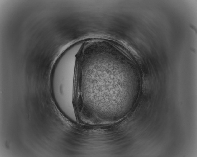 X0000091691272200709131600