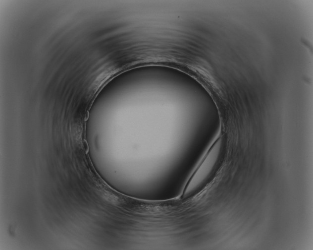 X0000091691273200709131600