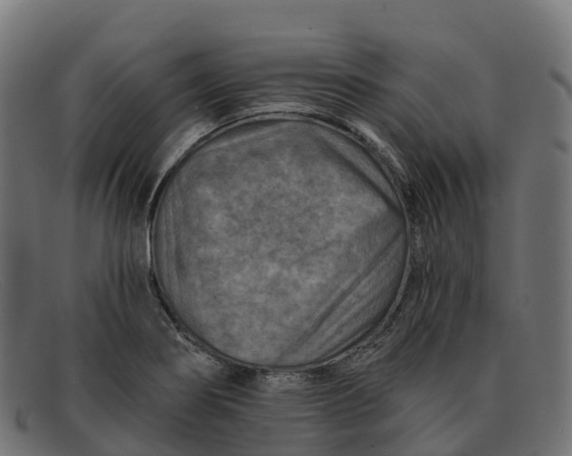 X0000091691274200709131600