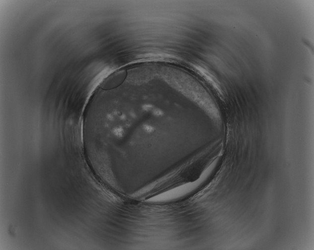 X0000091691275200709131600