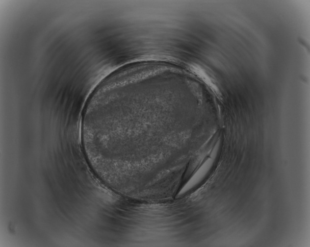 X0000091691276200709131600