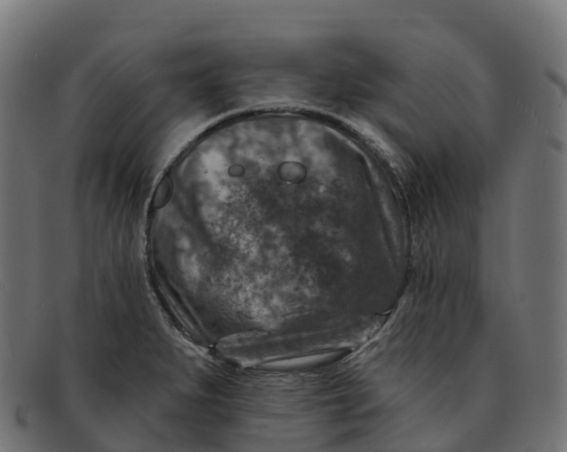 X0000091691279200709131600