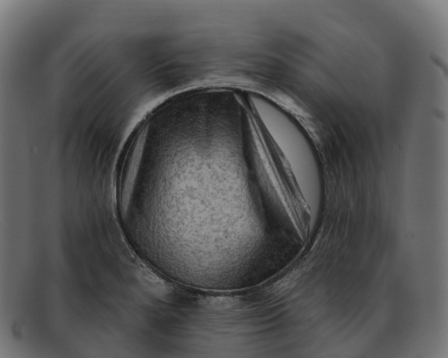 X0000091691280200709131600