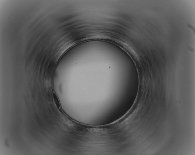 X0000091691281200709131600