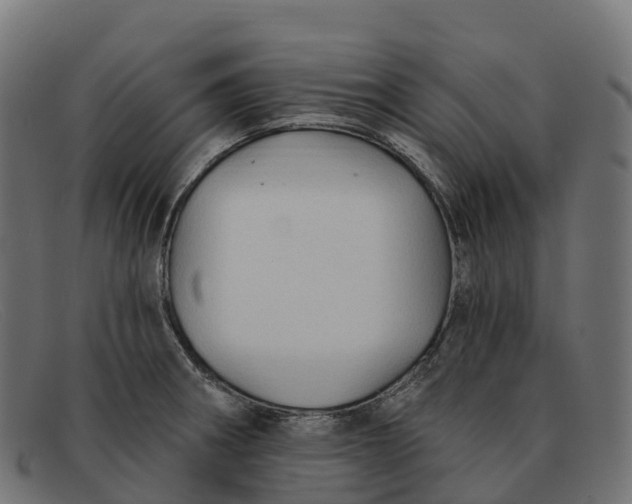 X0000091691282200709131600