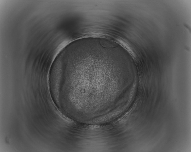 X0000091691283200709131600