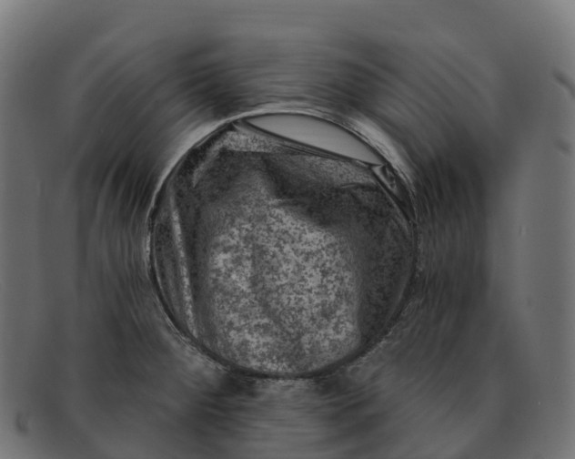 X0000091691284200709131600