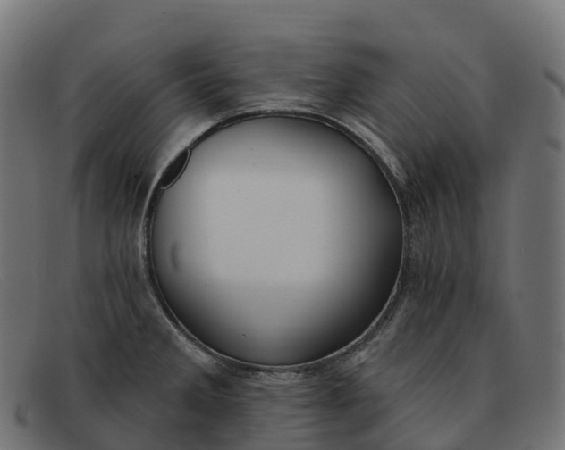 X0000091691285200709131600