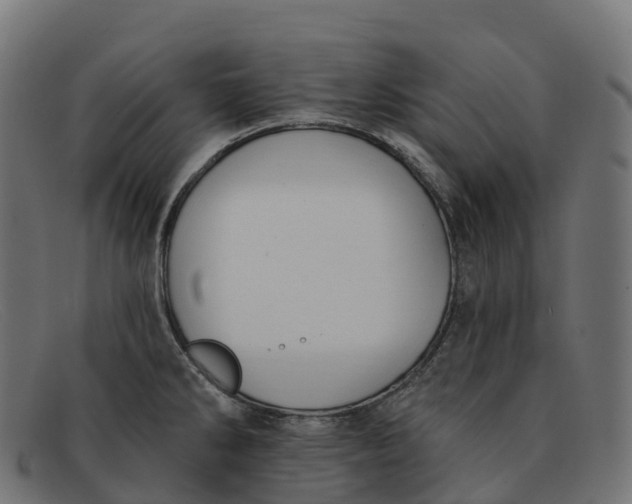 X0000091691286200709131600