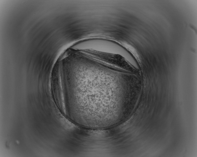 X0000091691288200709131600