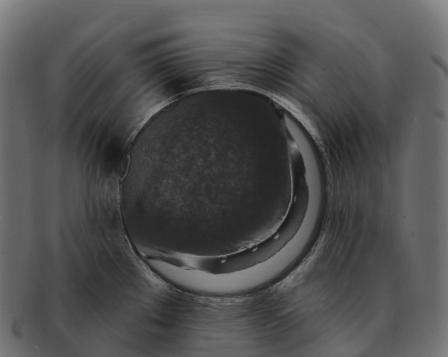 X0000091691289200709131600