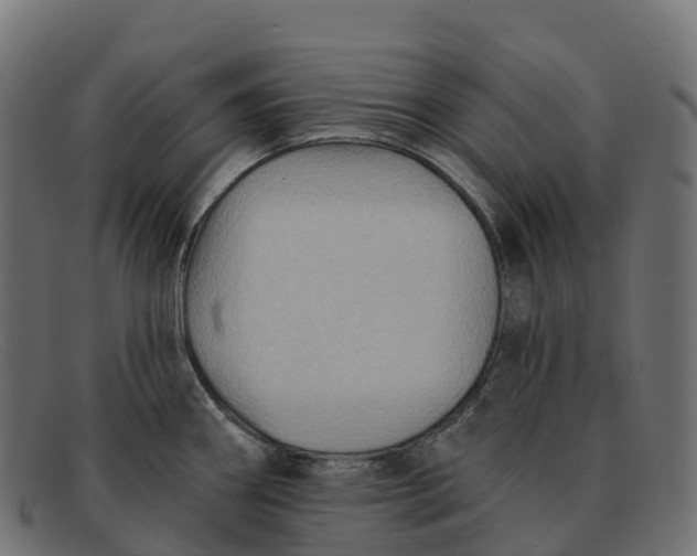 X0000091691290200709131600