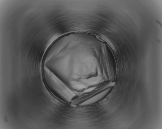 X0000091691291200709131600