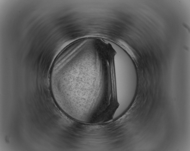 X0000091691292200709131600