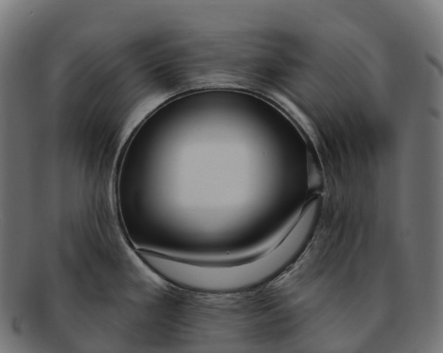 X0000091691293200709131600