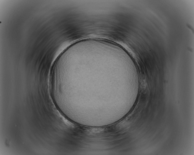 X0000091691294200709131600