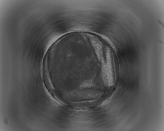 X0000091691295200709131600