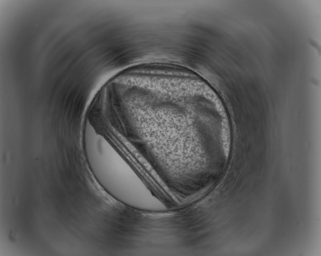 X0000091691296200709131600