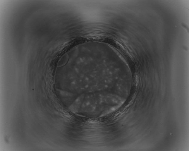 X0000091691297200709131559