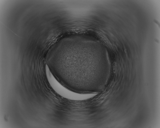 X0000091691298200709131559