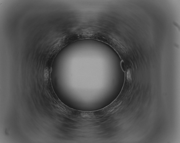 X0000091691299200709131559