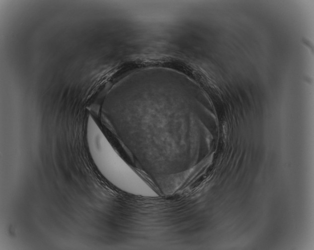 X0000091691300200709131559