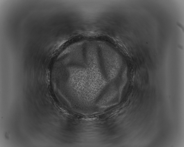 X0000091691301200709131559