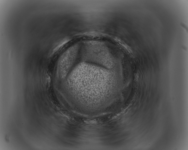 X0000091691302200709131559