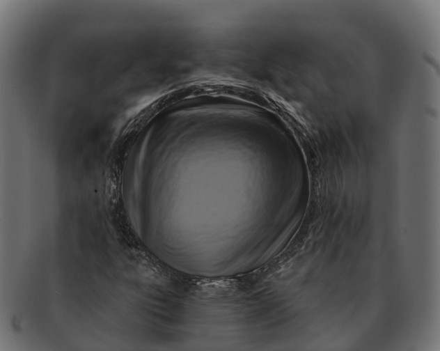 X0000091691303200709131559