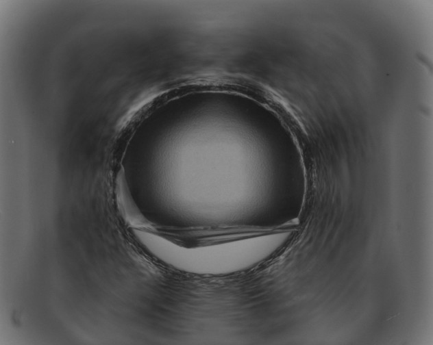 X0000091691304200709131559