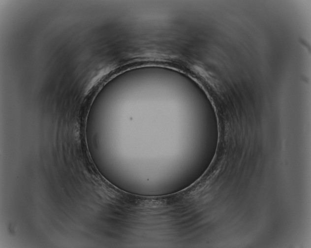 X0000091691307200709131559