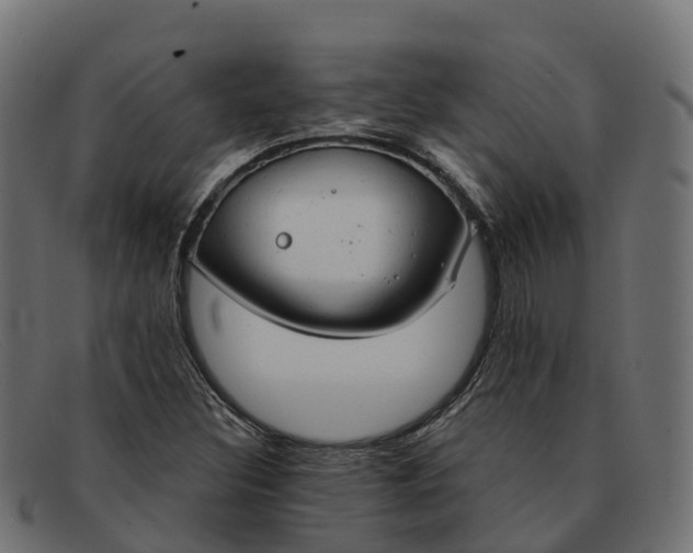 X0000091691308200709131559