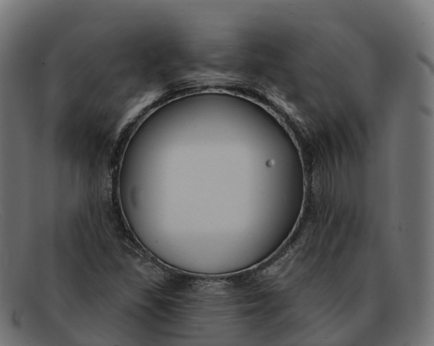 X0000091691309200709131559