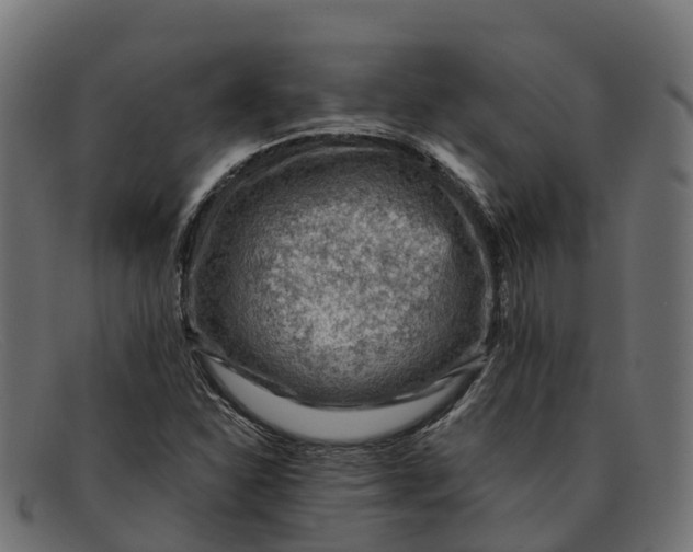 X0000091691310200709131559