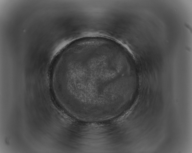 X0000091691311200709131559