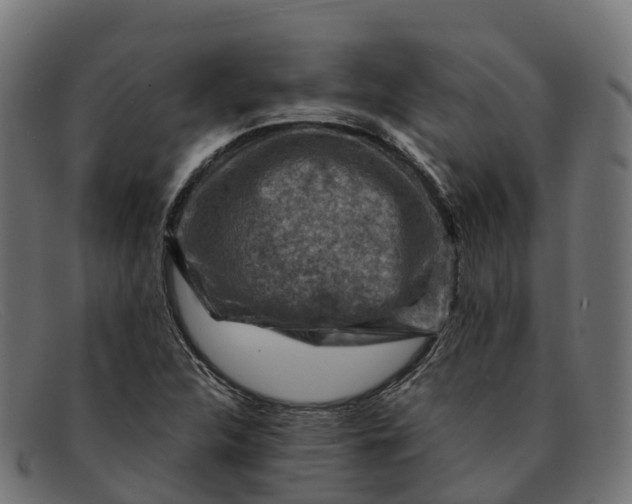 X0000091691312200709131559