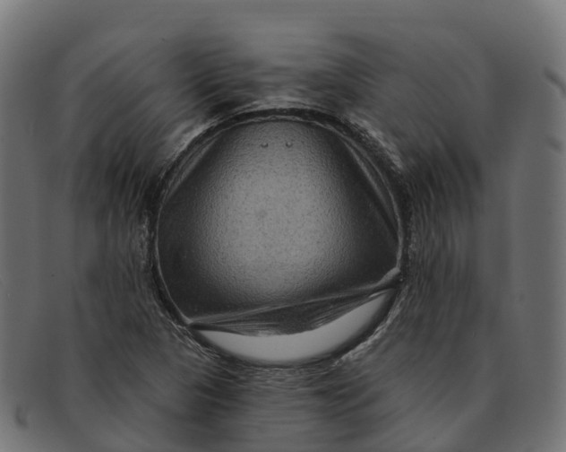 X0000091691313200709131559