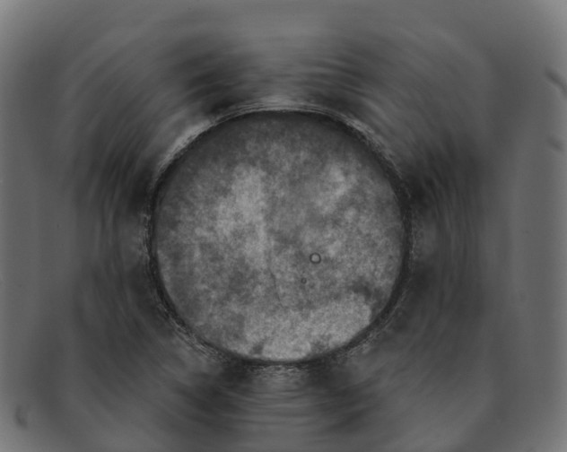 X0000091691314200709131559