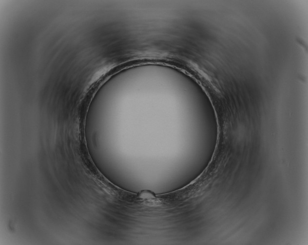 X0000091691315200709131559