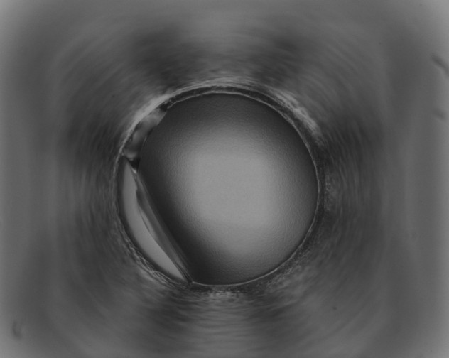 X0000091691316200709131559