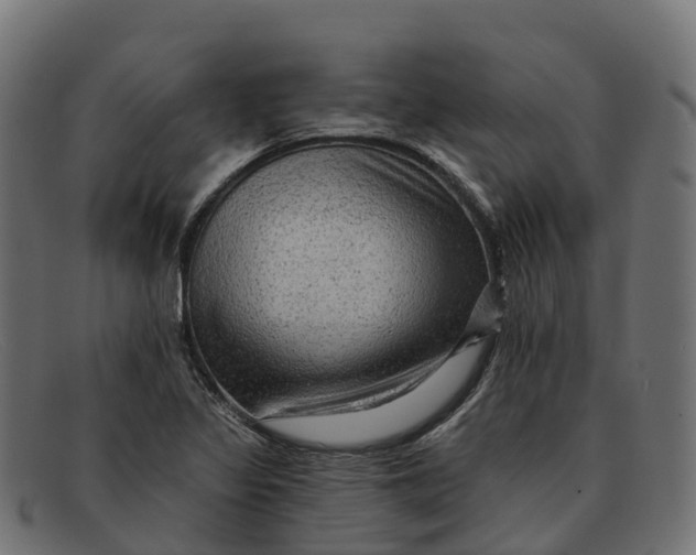 X0000091691317200709131559