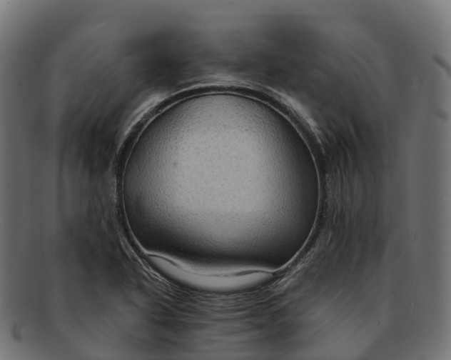 X0000091691318200709131559