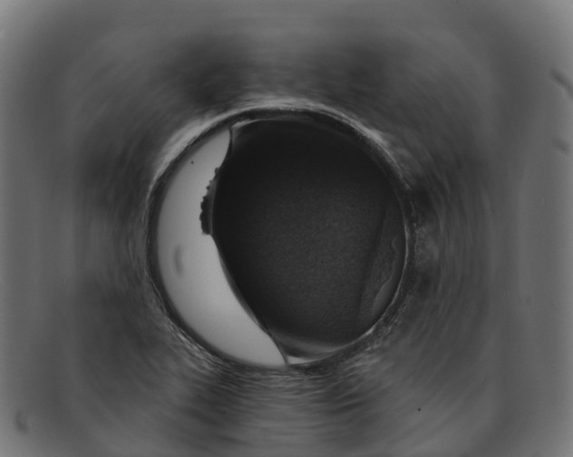 X0000091691319200709131559