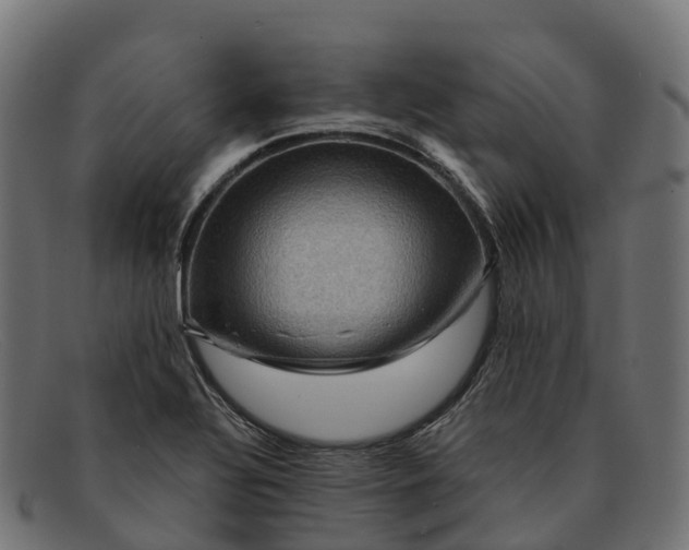 X0000091691320200709131559