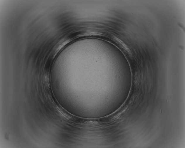 X0000091691321200709131559