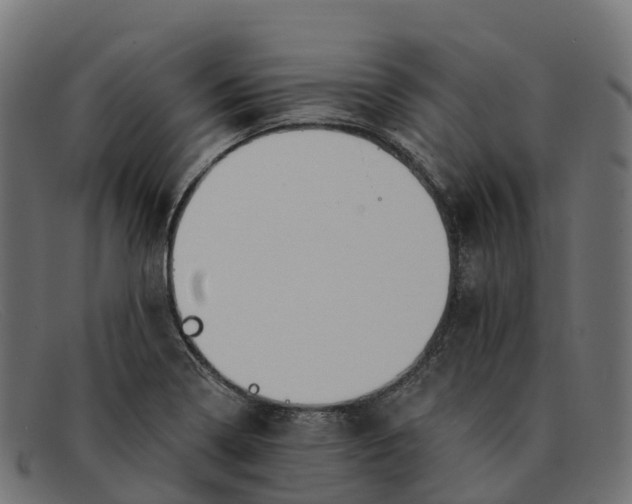 X0000091691322200709131559