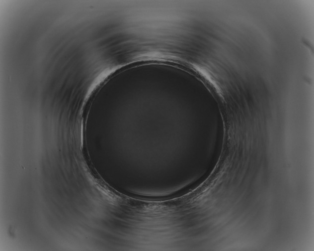 X0000091691323200709131559