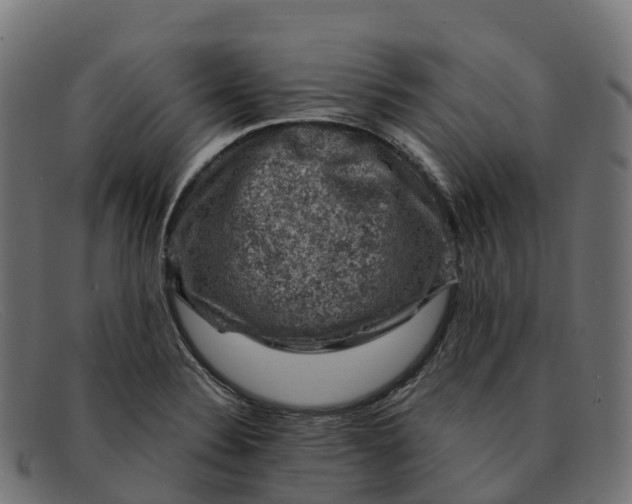 X0000091691324200709131559